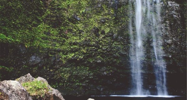 Take A Hike (To A Secret Waterfall)